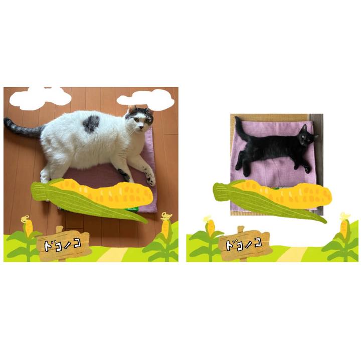 C3dff6f8 6809 4f02 988a 2ed46aebd628 1786747938250