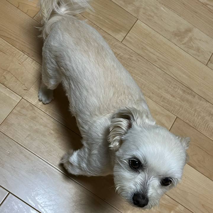 C3e00bd0 408d 4a9e af75 a0b69555dea2 1653652702377