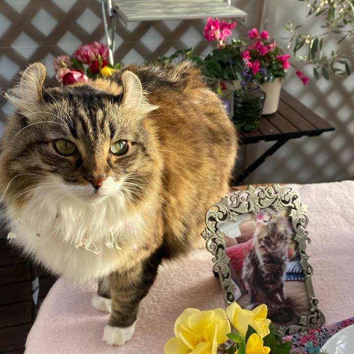 C3e08ee1 7372 453e 9686 a00557b5fc22 1708959297413