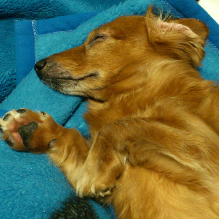 C3e0b5dc bf5b 49f7 88ba 24df7d2465ef 1547747872319