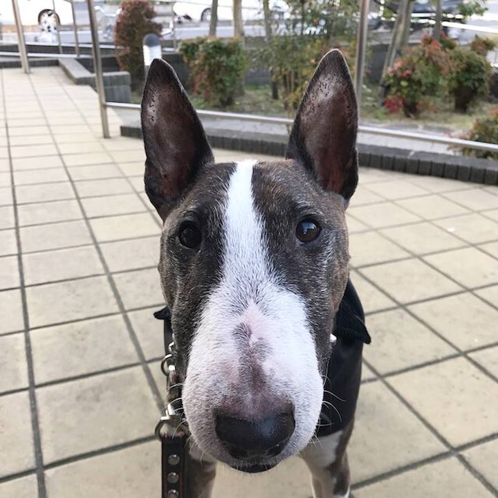 C3e0c13e 1602 4f8c 9614 4e97e04cf204 1511078992265