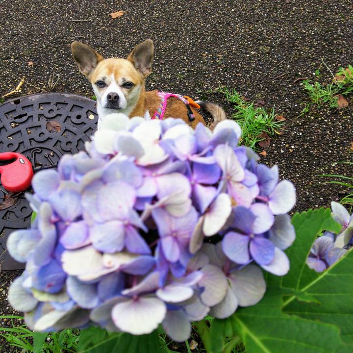 C3e0c4a0 c214 42ef a322 5ecb37c8ba86 1594760092087