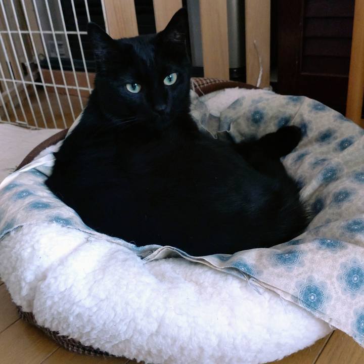 C3e11ae7 4f9f 4e8b 9d65 cd98e42cdcdb 1679296642847