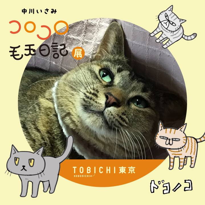 C3e12ced f696 42d2 a79d fc307b2d4bd9 1740209617758