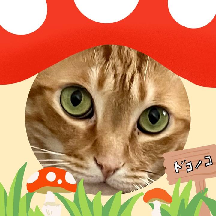 C3e13563 5f3e 4680 a0ff 9c4d1632da45 1729121047481