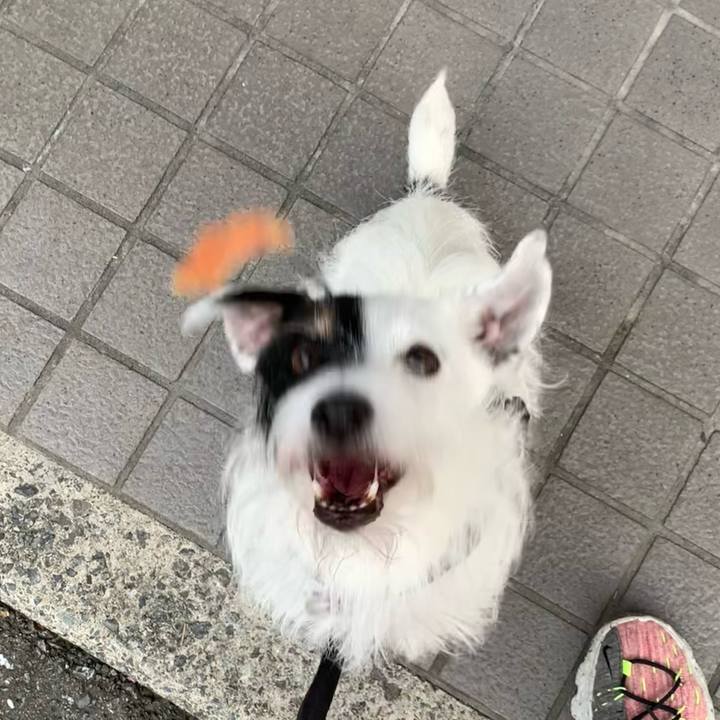 C3e172fc 3fa9 48cf a0c7 488ca03edda9 1697011084167