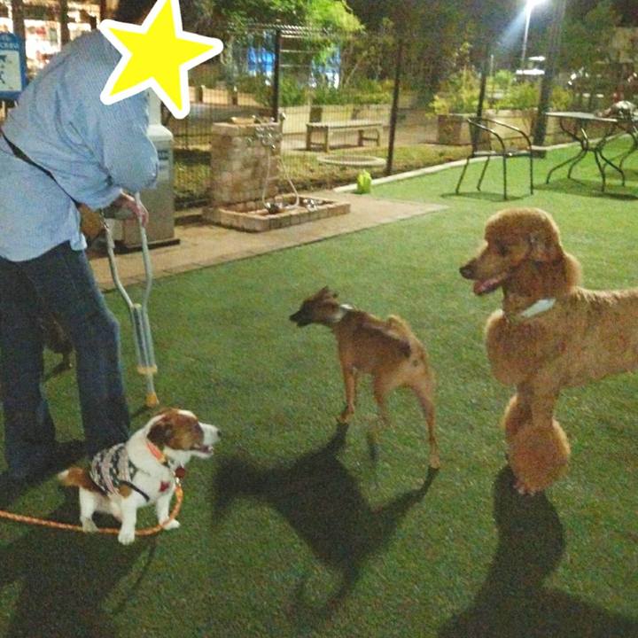 C3e1ea0f 39f7 42df a16f 78a6ae604611 1531145234347