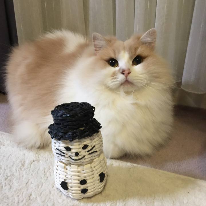 C3e209c1 3633 4e1f bc30 8f4a34033c23 1511702290941