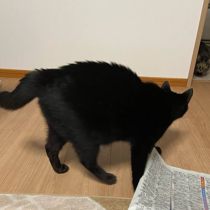 C3e22d9e fb86 4ed2 a37a 6edc0832d289 1635071876752