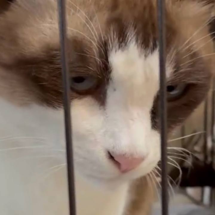 C3e25a57 6ba7 4bbf 81b9 e4201c2fd197 1762592355825