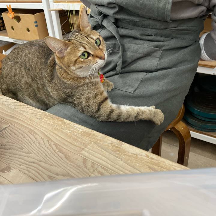 C3e27173 a79c 4c04 b19e 5fd90efbaeb1 1680909416058