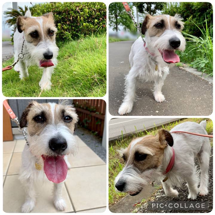 C3e29b61 5f5a 4da9 b330 0e137150da07 1624763643282