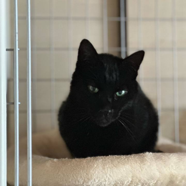 C3e2acd1 f82f 4de3 99e0 0c2d446a2001 1706747642324