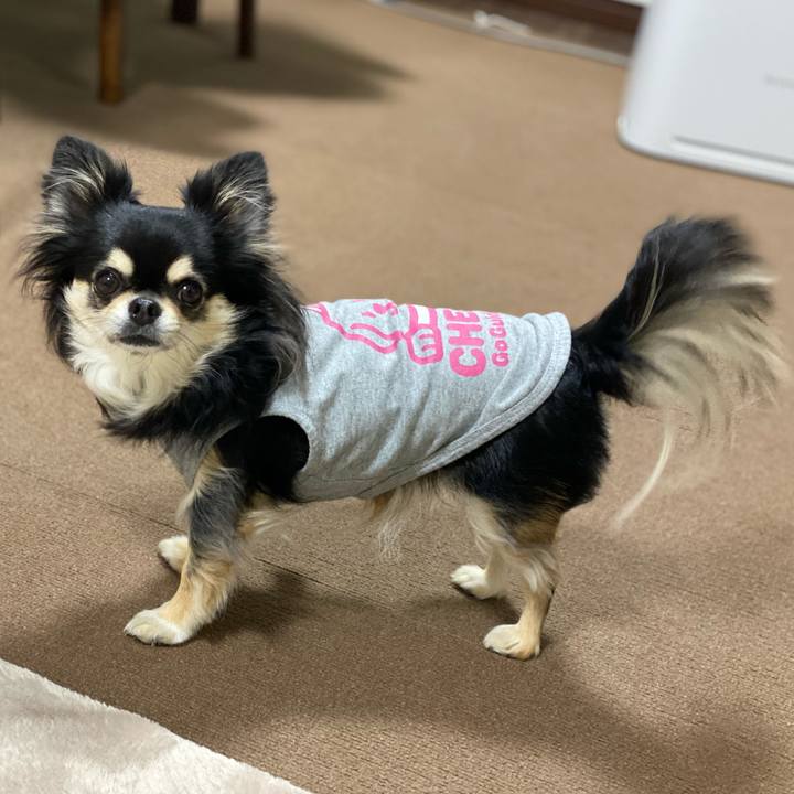 C3e2db51 aa5c 4f33 9ab2 71d6cd07b597 1643455693232