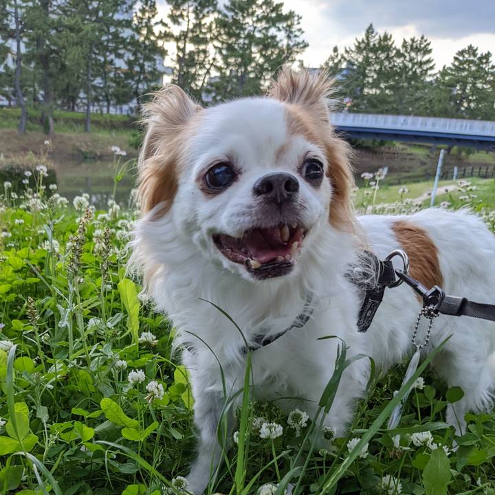 C3e2e31c 31be 4a14 bbc5 73c49e5e4077 1653743371909