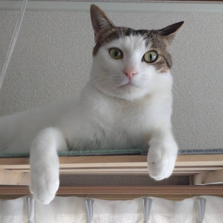 C3e2ea0a fff5 423d 81fd 2a9aa7b43fc2 1675603810346