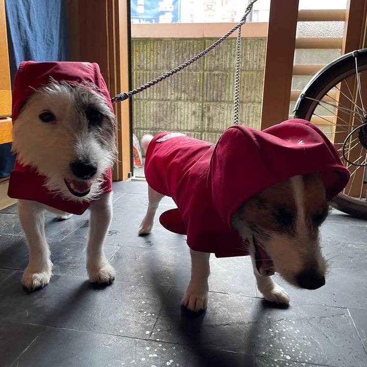 C3e31d46 fe51 48ec aee4 9c62bfc2e70b 1686438655664