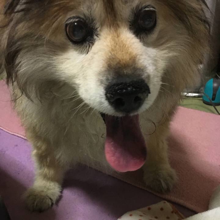 C3e31ed4 5da2 41e0 a980 f92c9c85386c 1565595422966