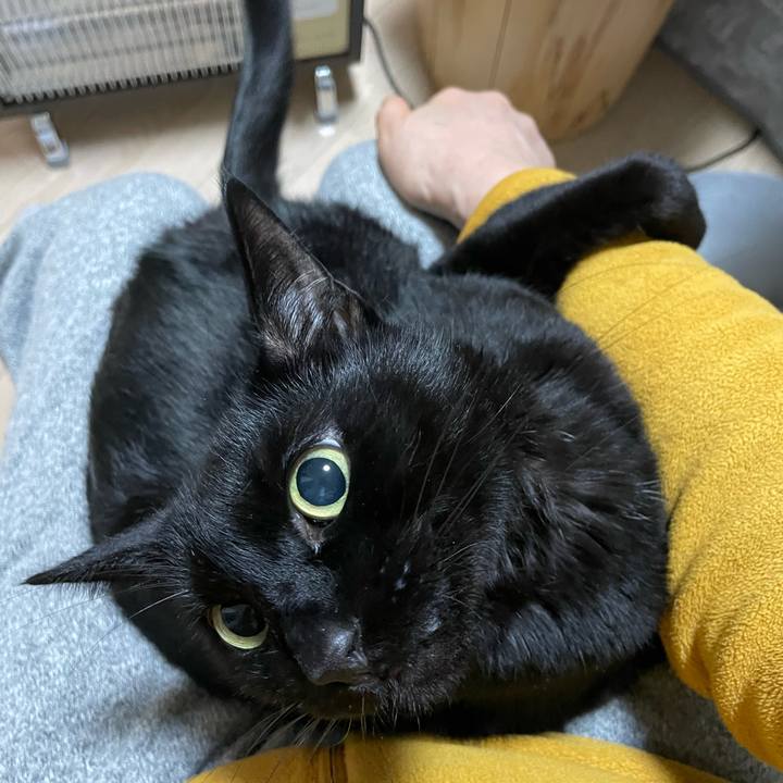 C3e32ac0 cdf7 4c78 b8ec 40d6a9a91d75 1677412909842