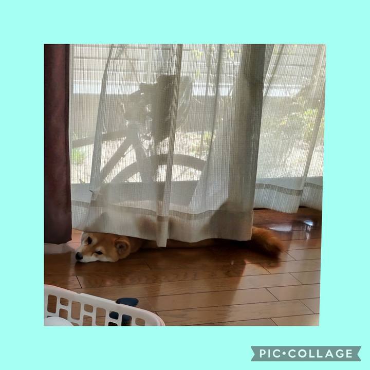 C3e3484d 8862 4ff6 ab58 797f6f5a6fed 1744002539034