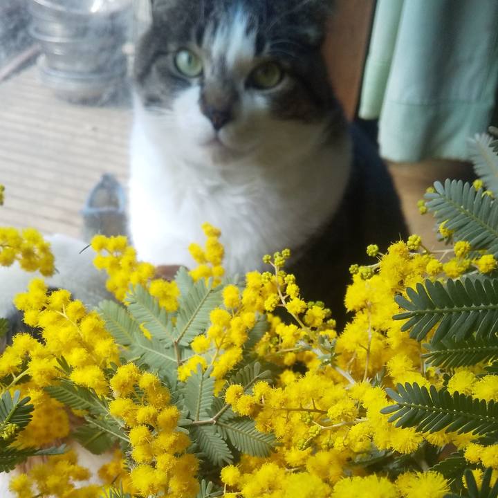 C3e37fe2 0b66 4dbb 85fc 79661cac24df 1710985457746