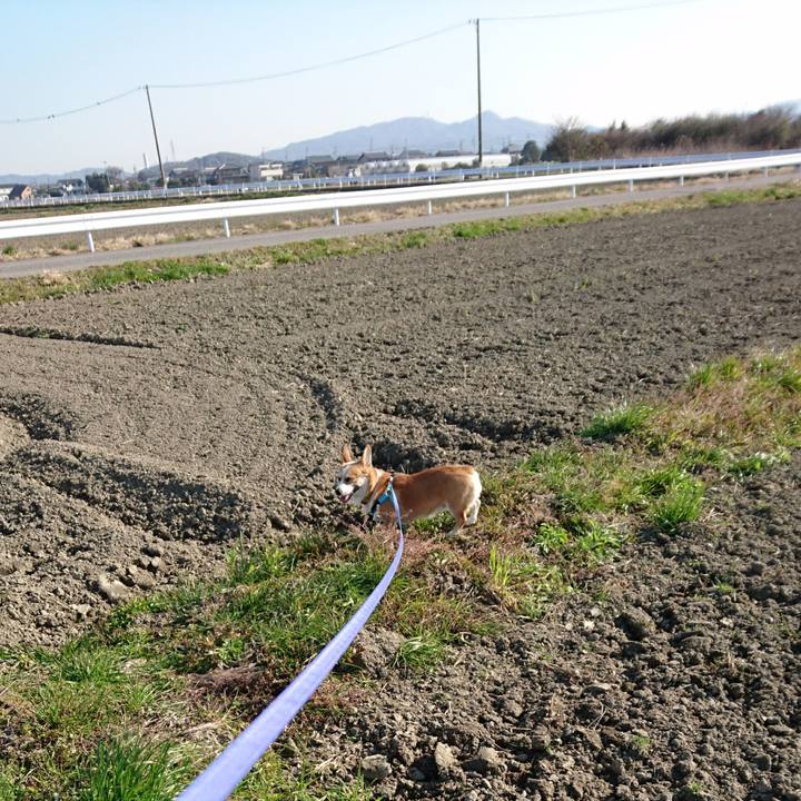 C3e39d6b 454f 4487 9e58 cf2464a23dfb 1578981229920