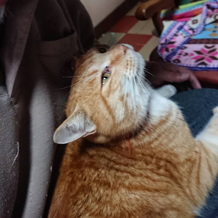 C3e3adf6 701b 45e7 91f8 c0dd56ea8985 1579760949945