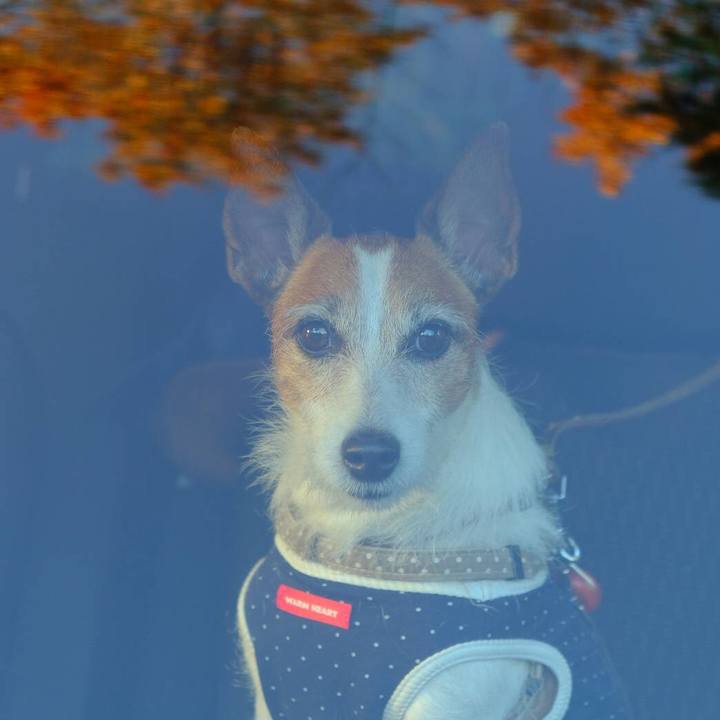 C3e3d43e e482 41c7 9623 69ba99077032 1608336055329