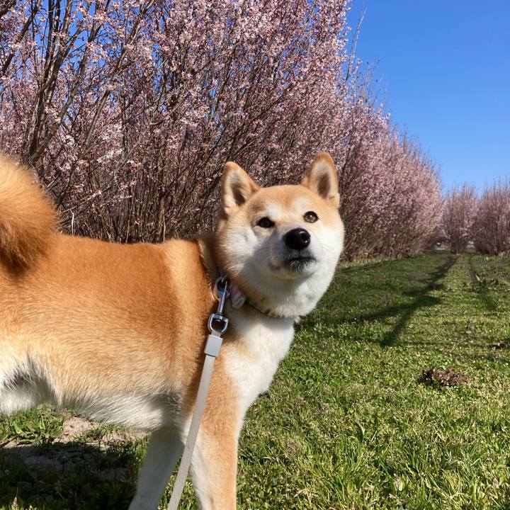 C3e4036d d64a 4691 9b97 882e4ee09a86 1680696208267