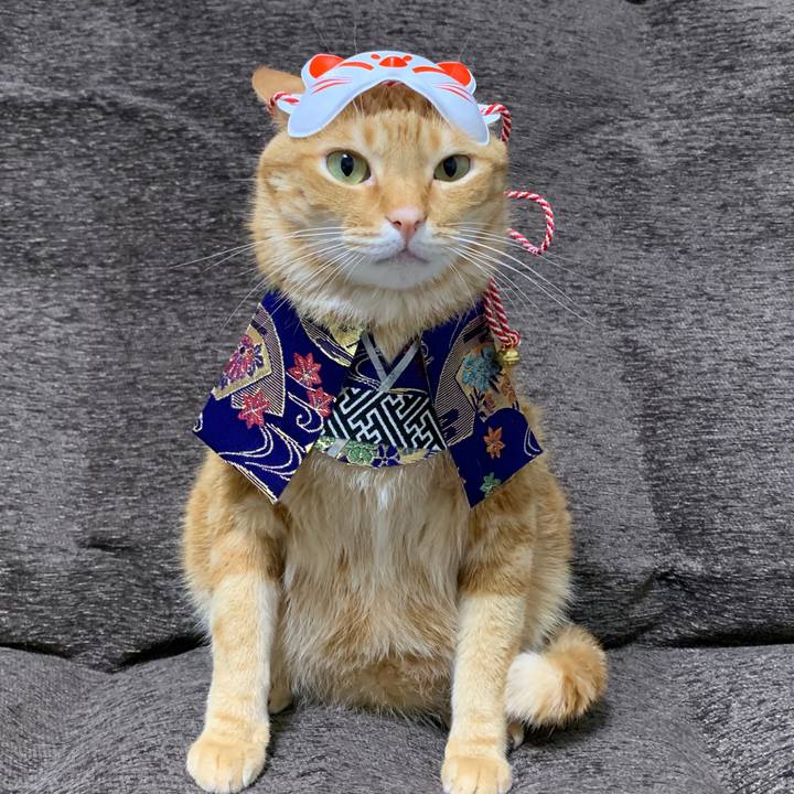 C3e4066d 853e 46fb 9040 67ffef6eab0c 1597840949913