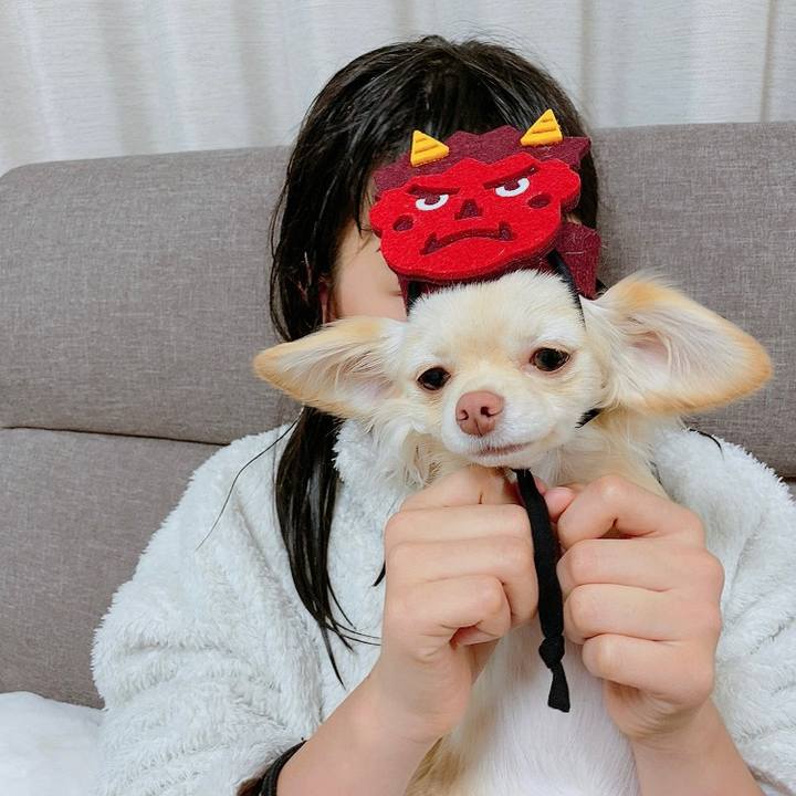 C3e409d1 a9b4 40e3 9dcb 5548c462790e 1612321172842