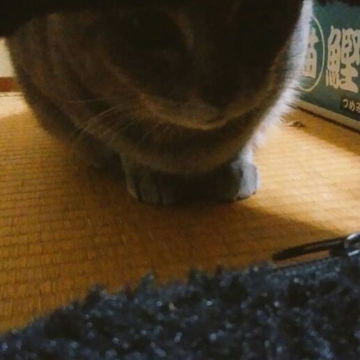 C3e44d39 72e2 4738 8e23 c376f4dce55e 1549650901236