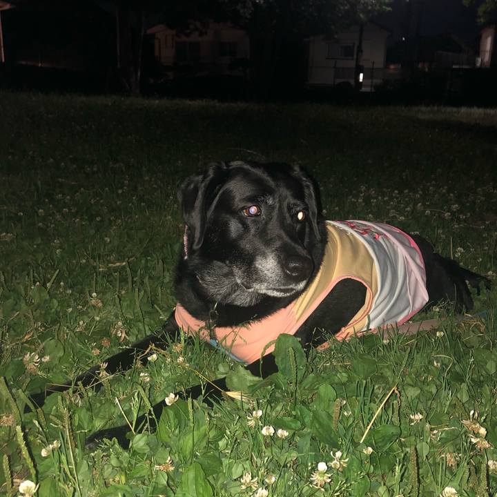 C3e4646b 5695 44dd a00f bf2fbae55356 1559652660153