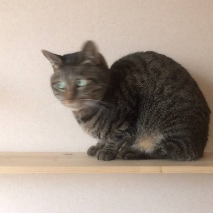 C3e4778b 1fb9 4dea bf0c 57f4fcf3fc61 1550799685453