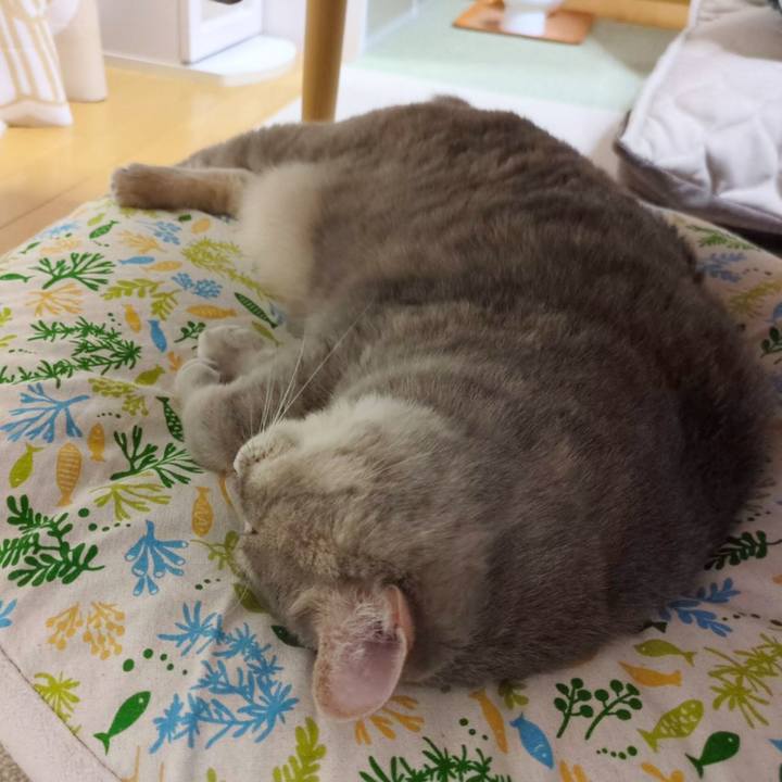 C3e4aa9f 324e 44eb a0a6 f2ac92b1d129 1689827569694