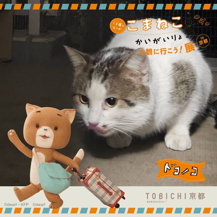 C3e4cb81 fc87 4f0c 8b80 61221fb481be 1740190292181