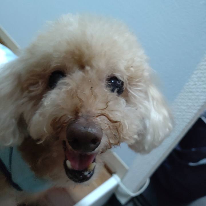 C3e4d0df 6f3b 4a76 89f1 eb92806e07b0 1660192224746