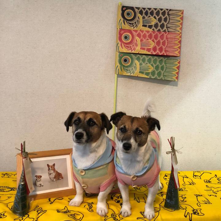 C3e4d1c9 c7fd 4788 b85f 91b2334b2243 1556985866742