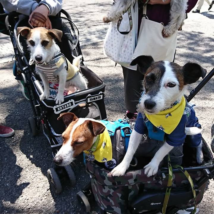 C3e4e5c9 80e4 4549 bfe3 974f0e48d153 1555139680010