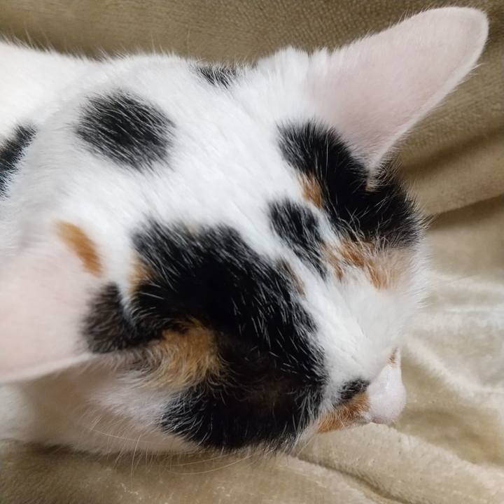 C3e4e89b 0a75 4115 bc5c 30b70619ac8f 1667652631041