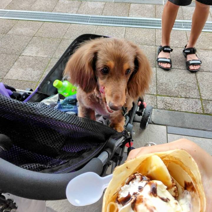 C3e4ec8b 136d 426d b758 ab89ff4ba013 1723788041915