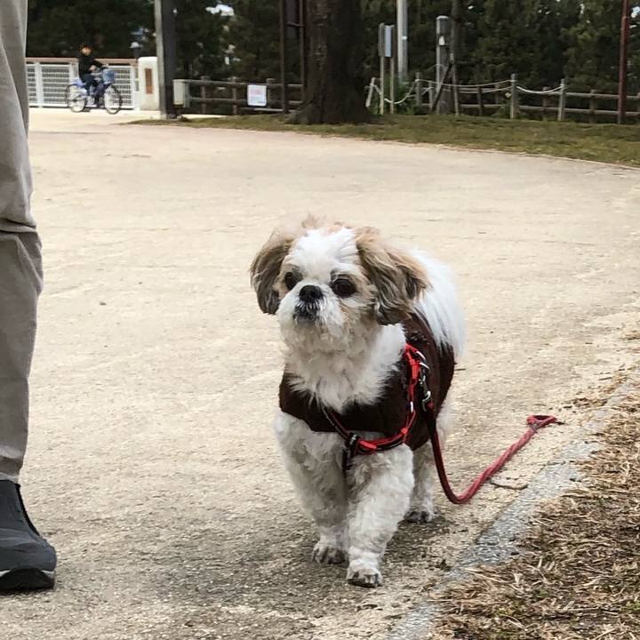 C3e4f879 e0d3 4ae5 91bc efd5ab9a7e7b 1549406330578