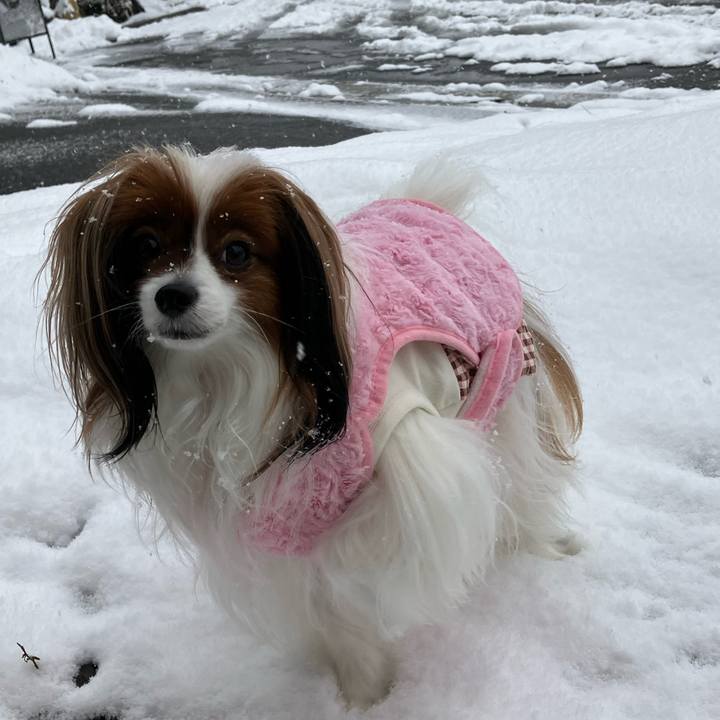 C3e50af6 61cd 4169 8898 db97829f8103 1700891997415