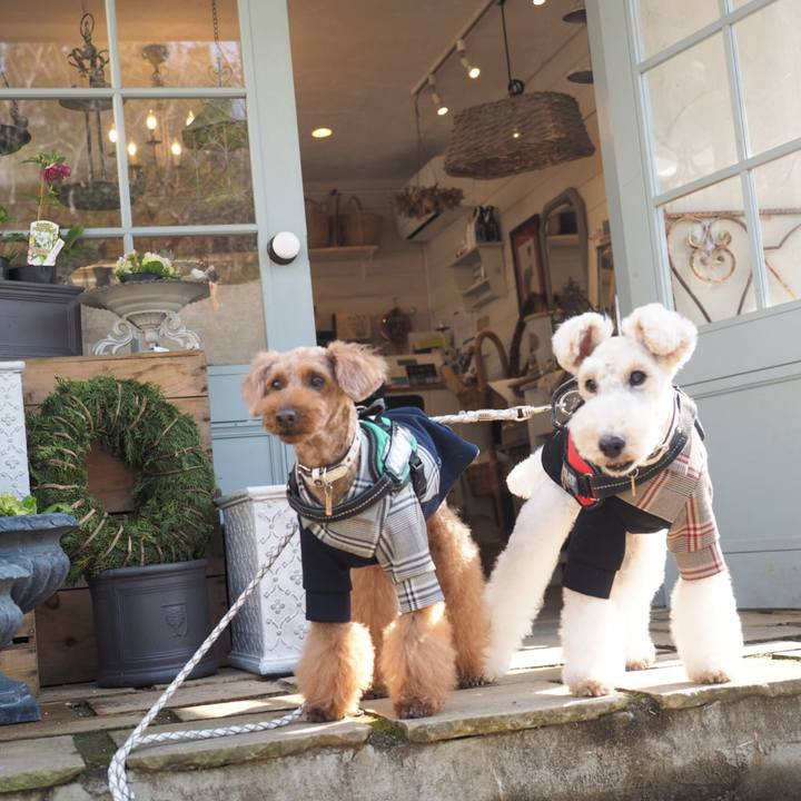 C3e54b9a d63b 49c1 a6be 94f4dba407b4 1616147477550