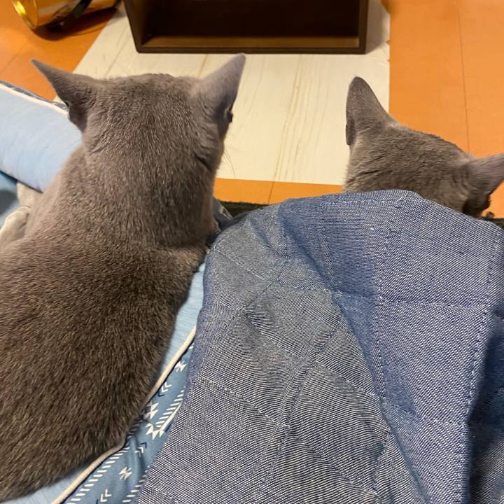 C3e56c34 acd1 4bfa b098 9f22ac1beb96 1622201132076