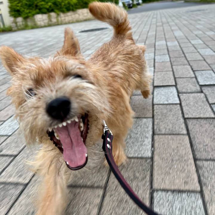 C3e58365 b766 4b2d 9f42 ce8caa35240f 1722412432480