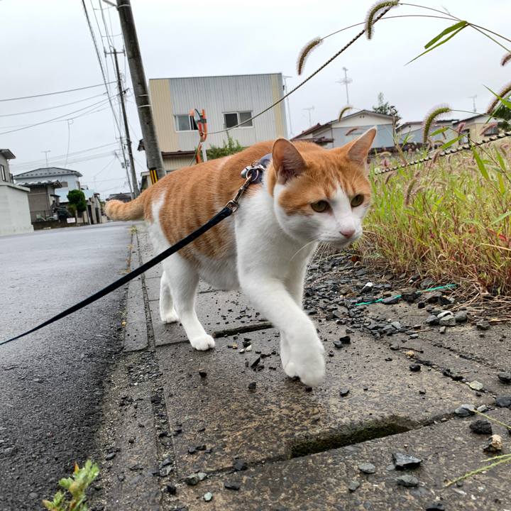 C3e588d0 841c 48c2 825a 703e637f1523 1568609699186