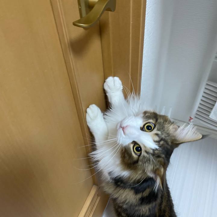 C3e5a8b1 7819 4391 9924 9ad0e7a94a87 1649362910310