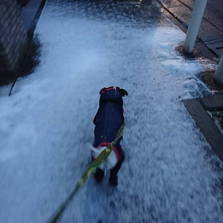 C3e5ae5d 70a5 4897 9307 34e0f7cbdc04 1517521753025