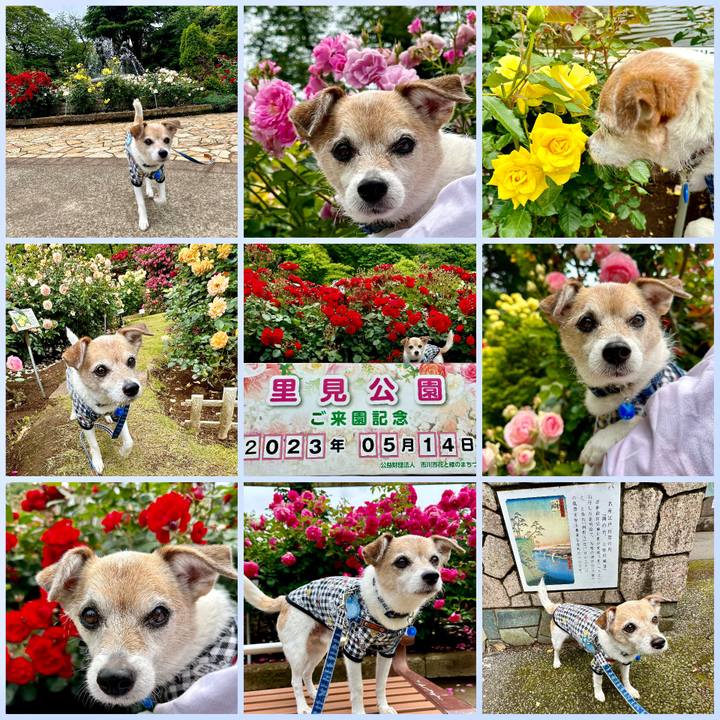 C3e5e992 6467 4ac3 817c 5ffcf513e0b6 1684043209031